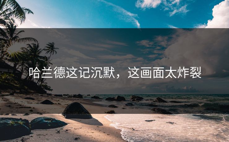 哈兰德这记沉默，这画面太炸裂